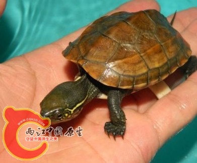 搜狗截图13年06月29日2358_2.jpg