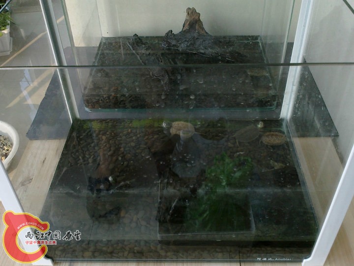 large_Ne4u_38570000590d1260.jpg