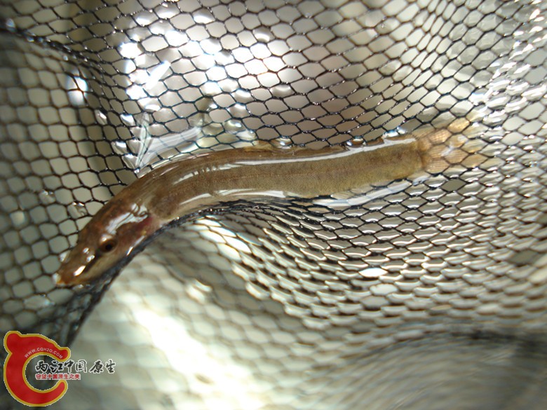 DSC02779.JPG