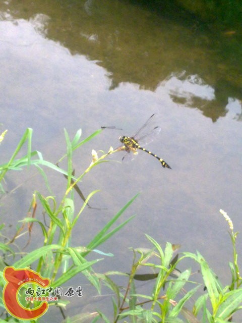 201306251776.jpg