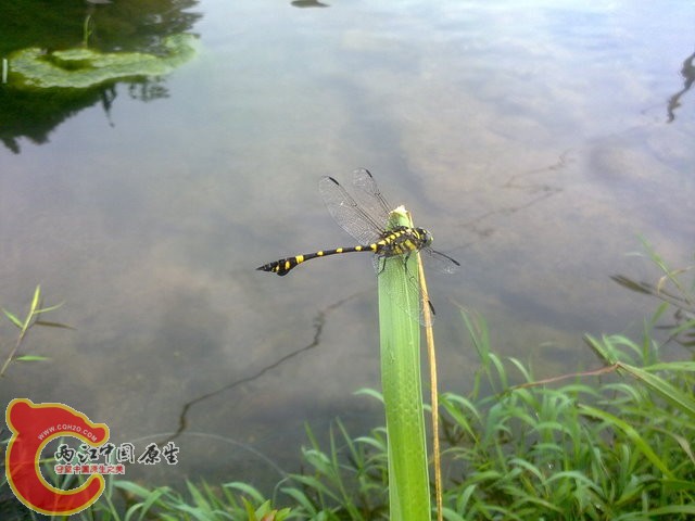 201306251773.jpg
