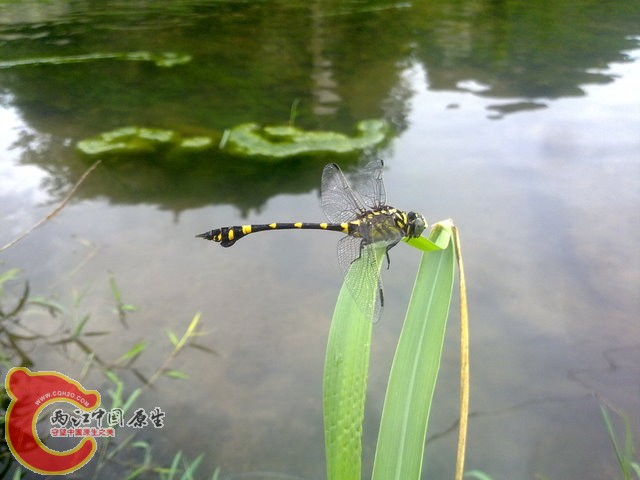 201306251774.jpg