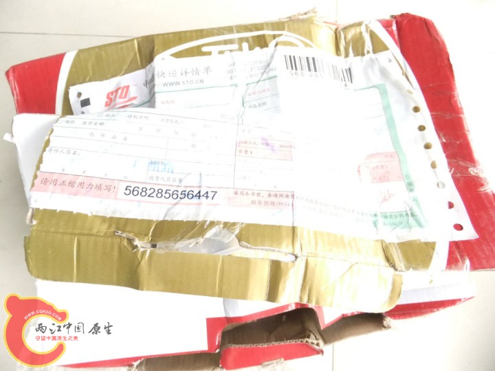 large_zXIy_337100002283125f.jpg