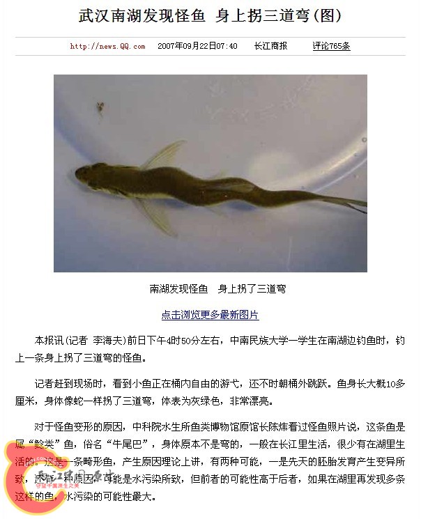 QQ图片20130702170515.jpg