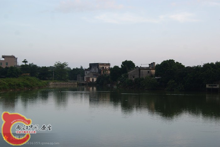 05.jpg