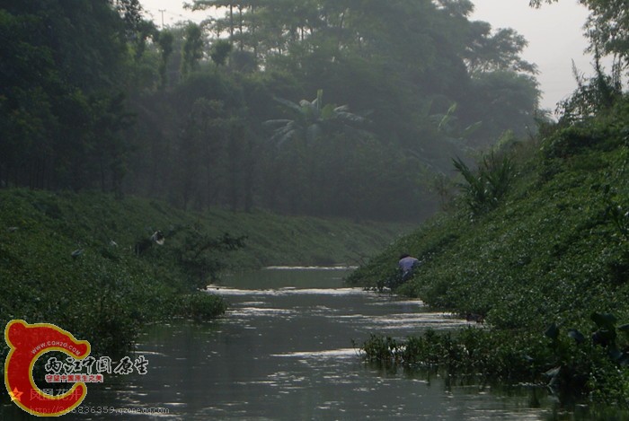 06.jpg