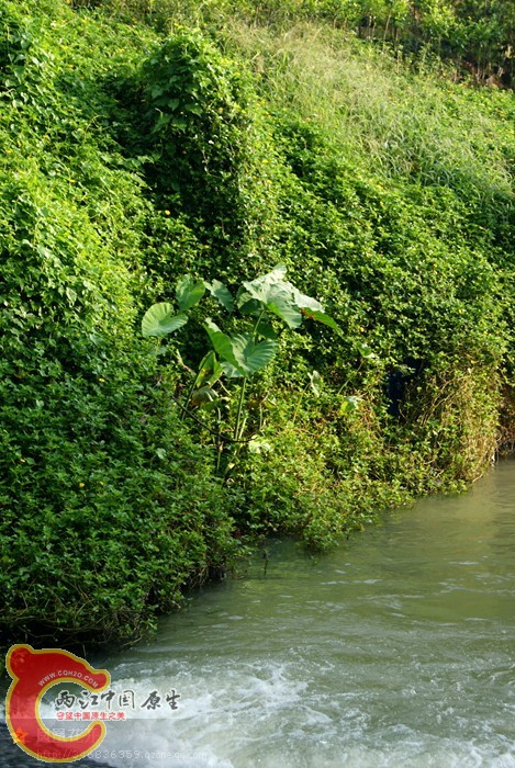 08.jpg