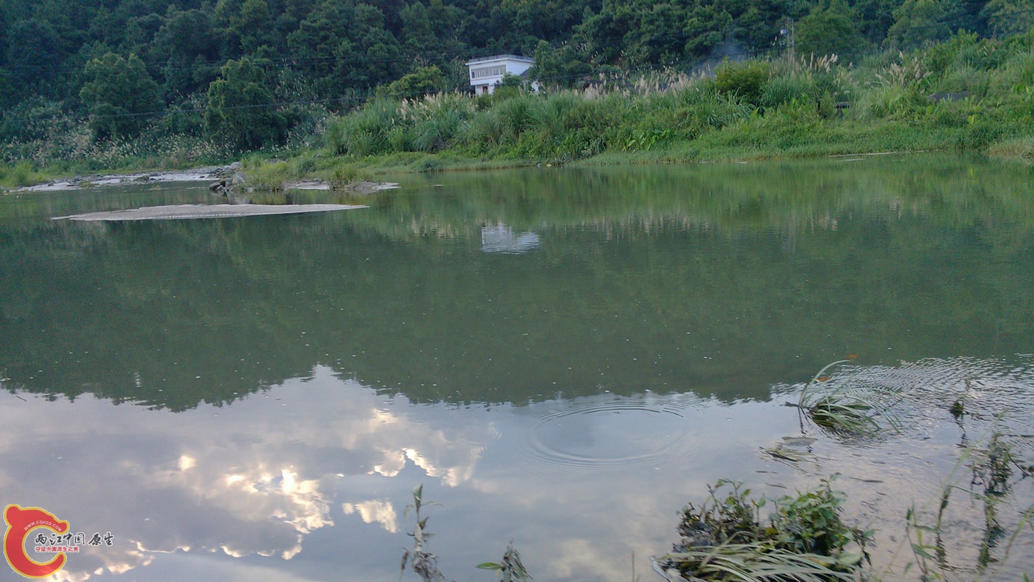 IMG_20130703_181218.jpg