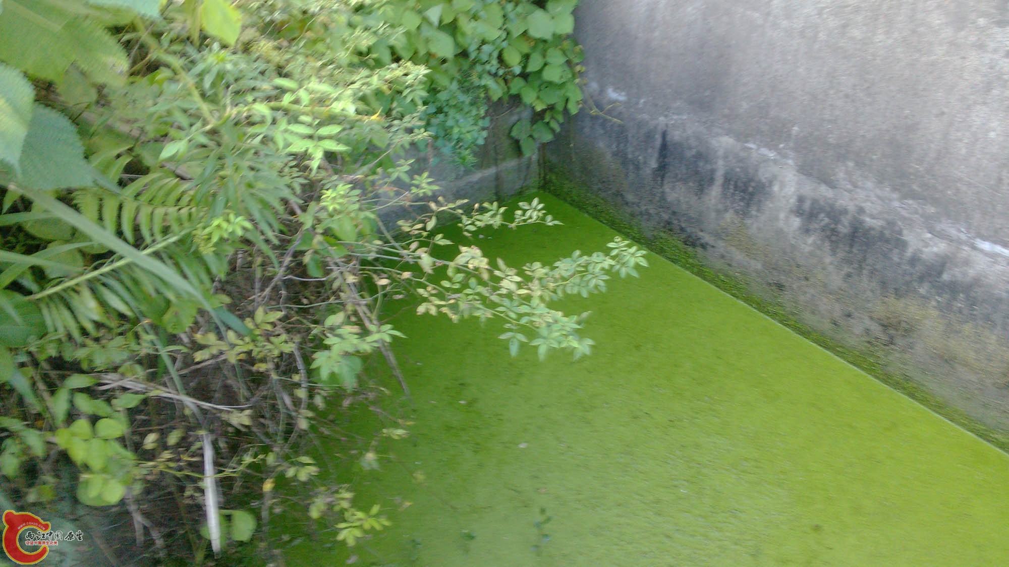 IMG_20130703_182443.jpg