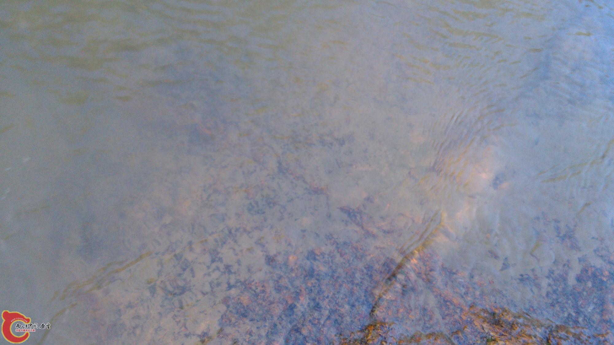 IMG_20130703_183626.jpg