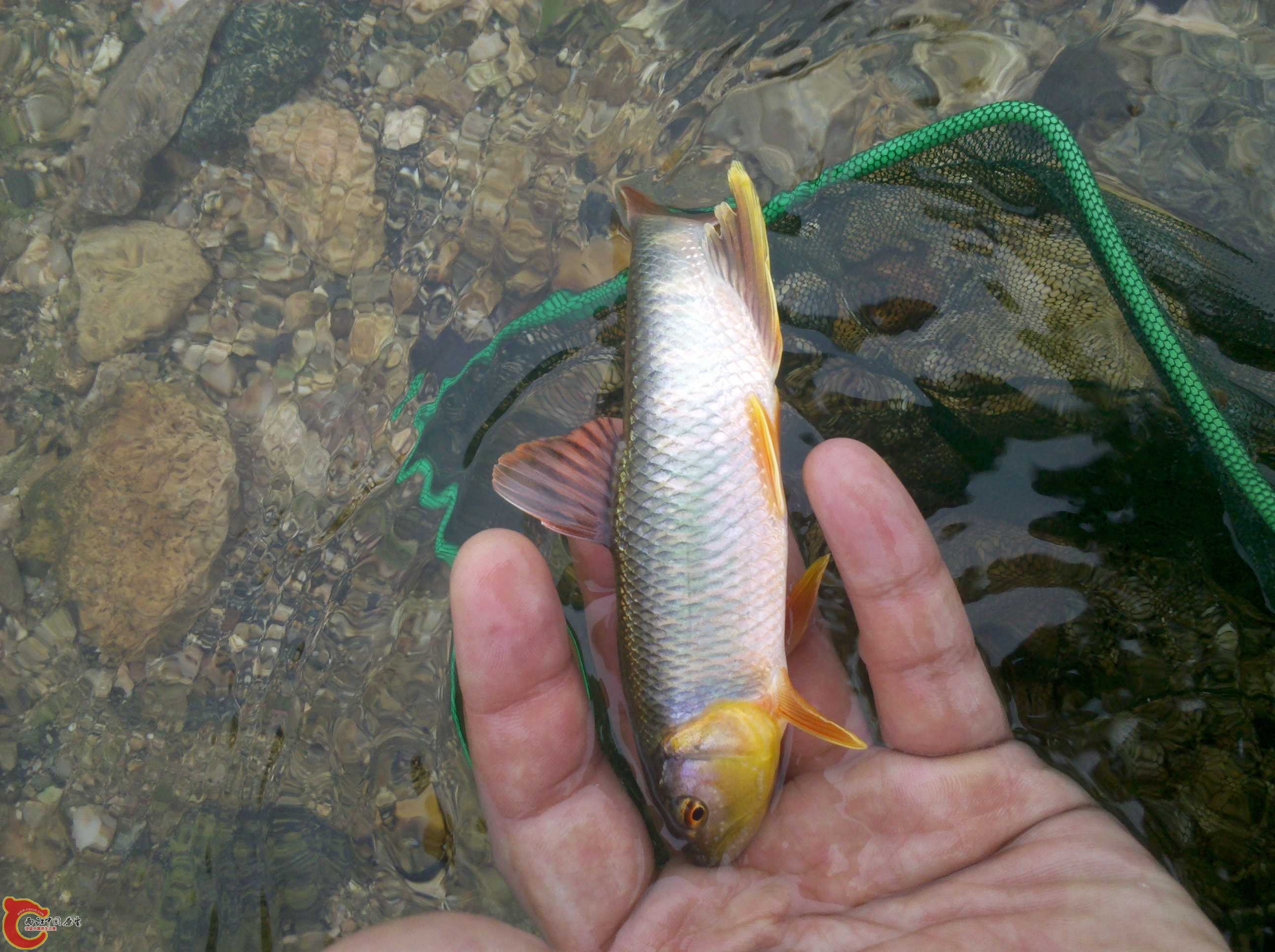 IMG_20130704_122802.jpg