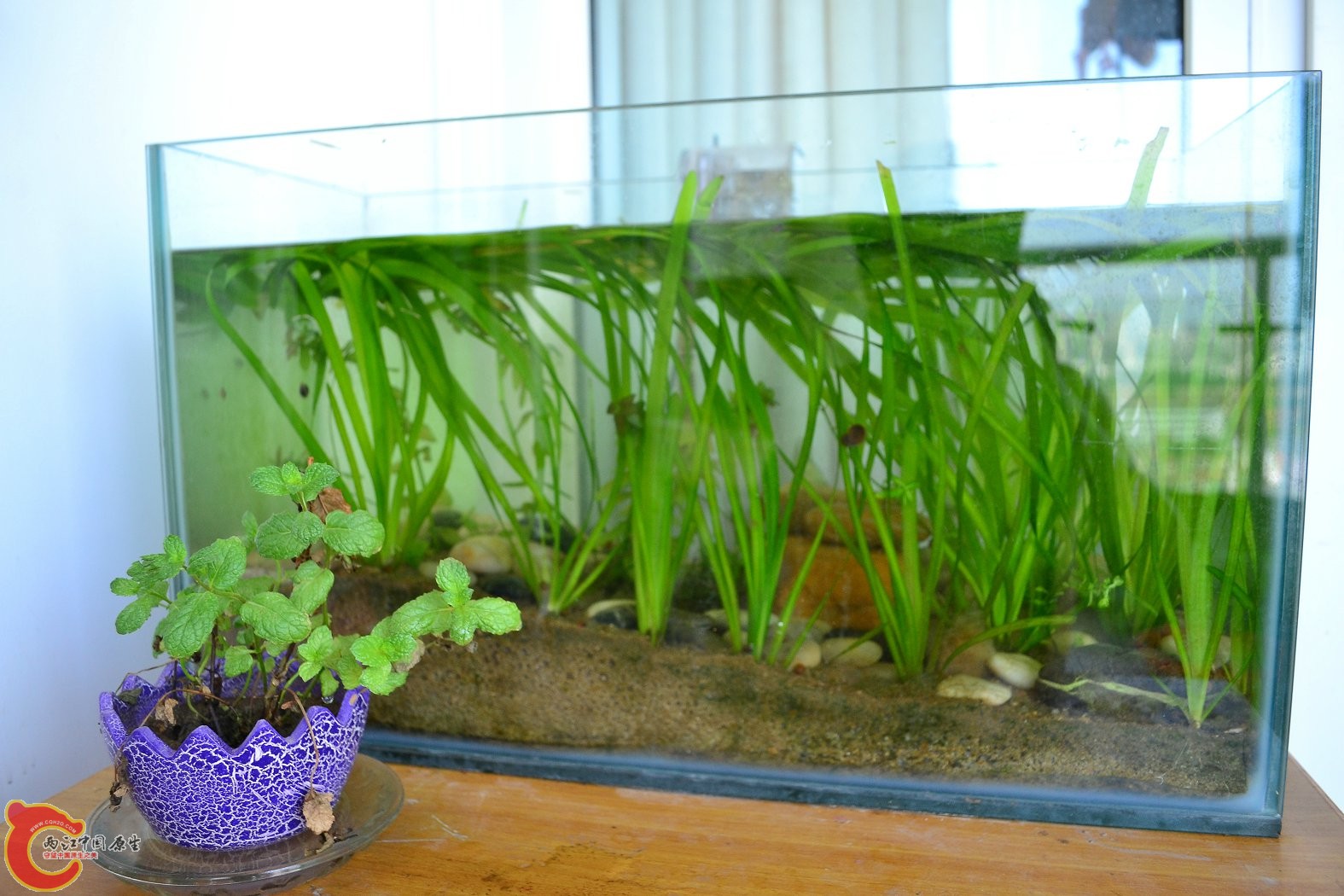 20130705-2038.JPG