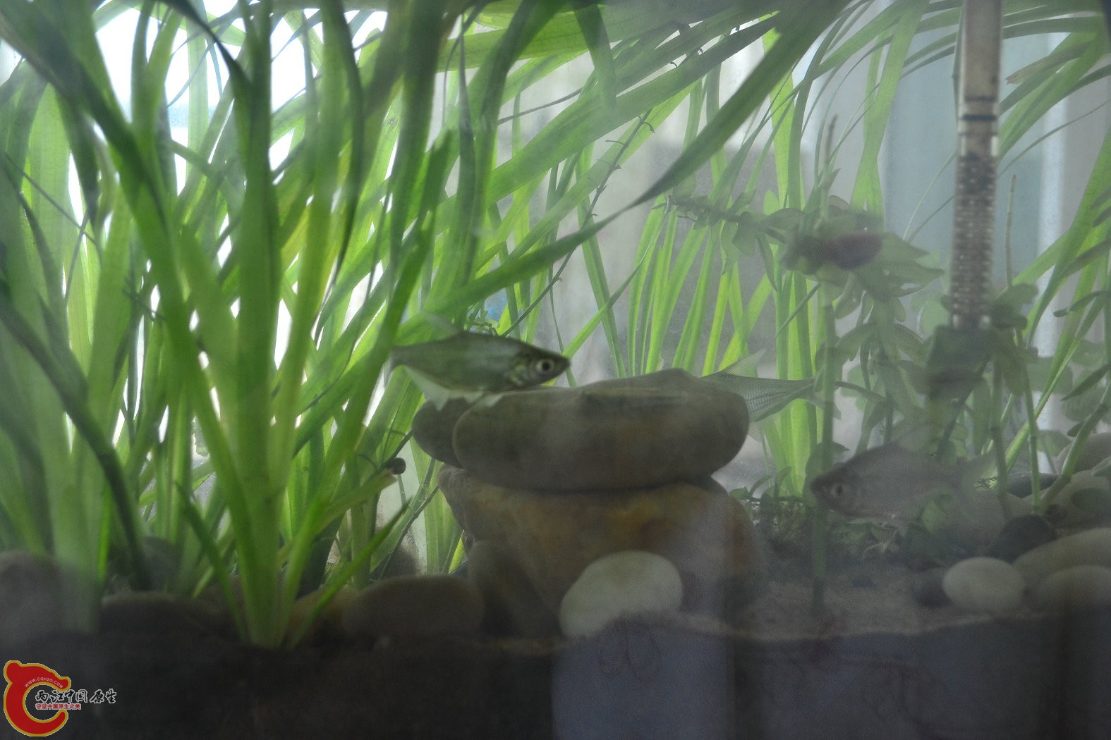 20130705-2047.JPG