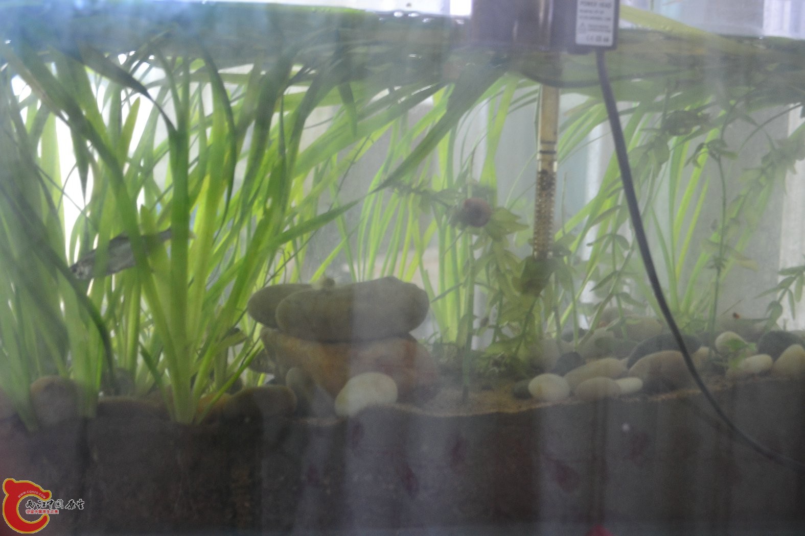 20130705-2053.JPG