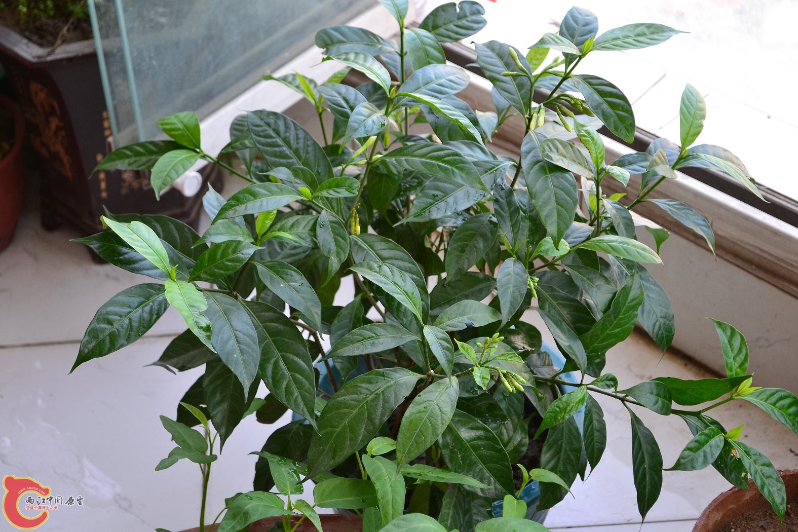 20130705-2036.JPG