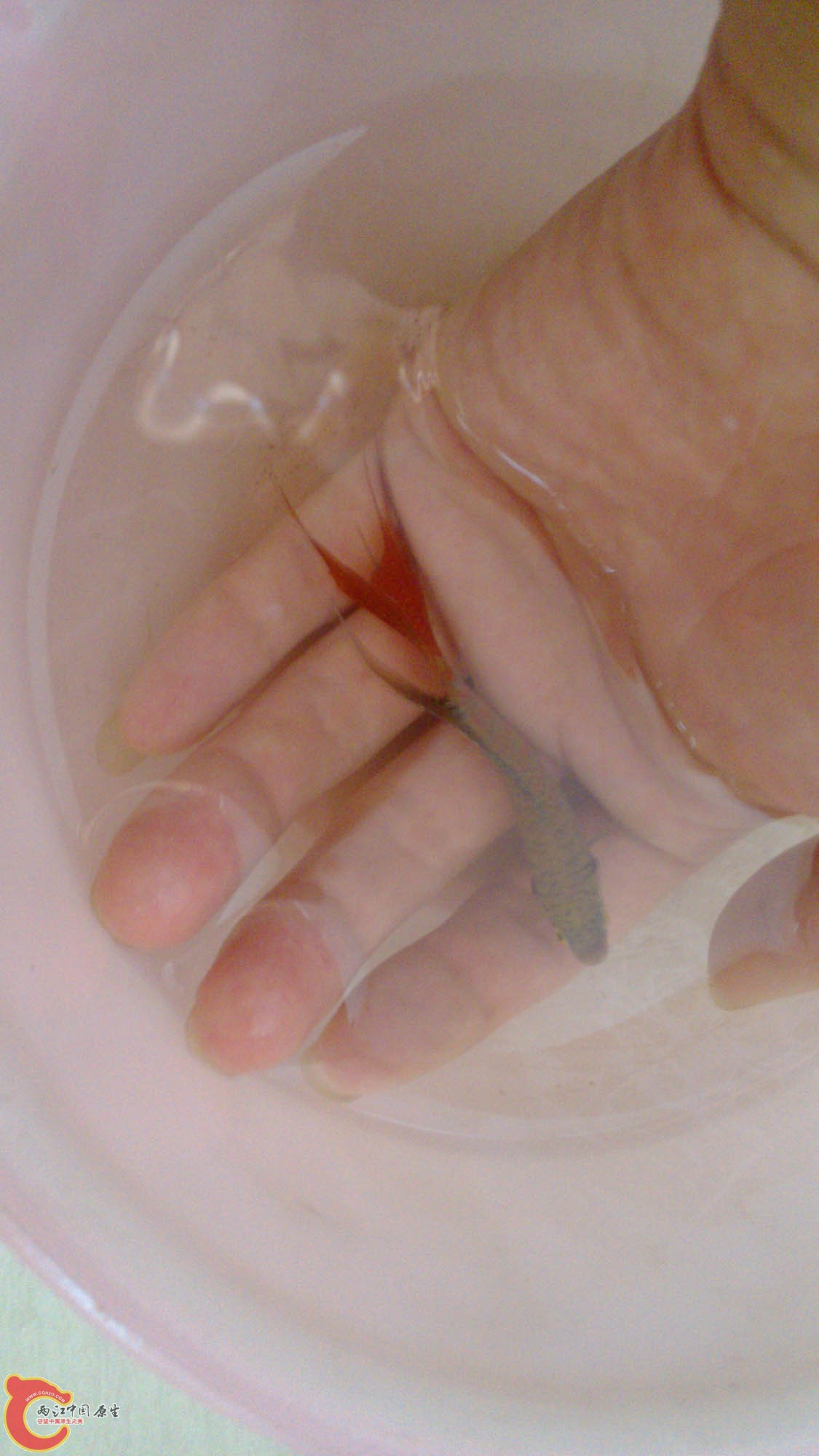 IMG_20130705_131441.jpg