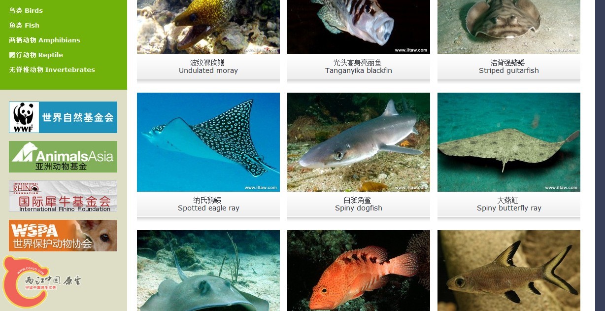 QQ截图20130708140040.jpg