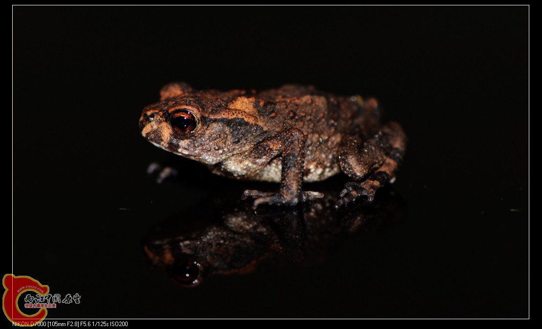 DSC_9377.jpg