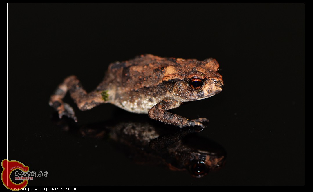DSC_9372.jpg