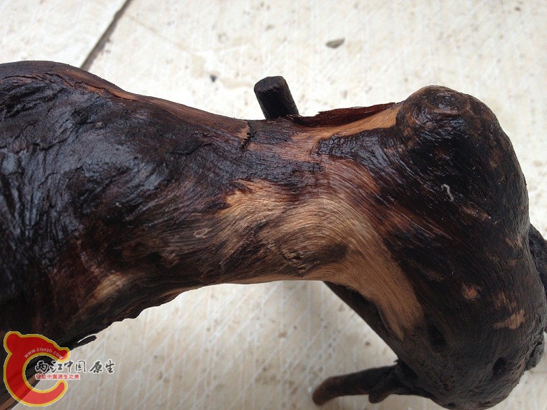 这块还明显看得出有木头的纹理，是沉木吗？