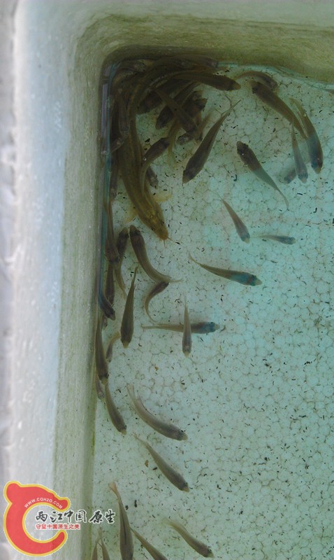 IMAG1380_副本.jpg