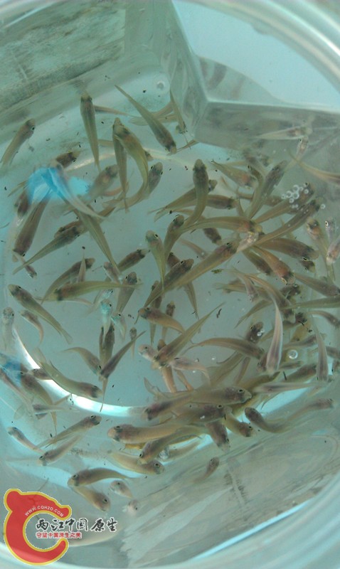 IMAG1383_副本.jpg