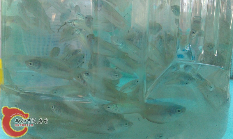 IMAG1384_副本.jpg