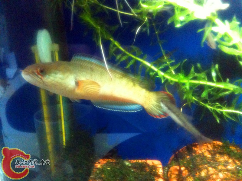 照片123 096_副本.jpg