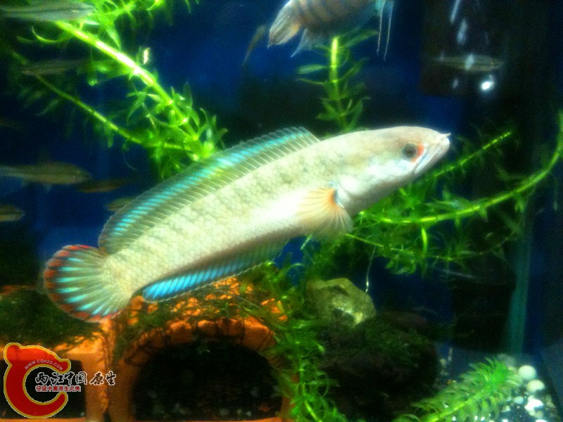 照片123 097_副本.jpg