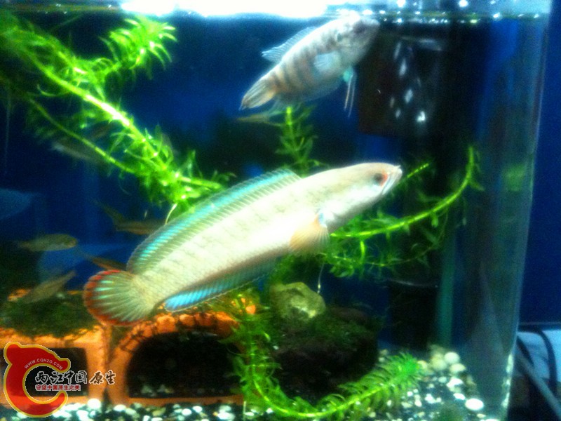 照片123 098_副本.jpg