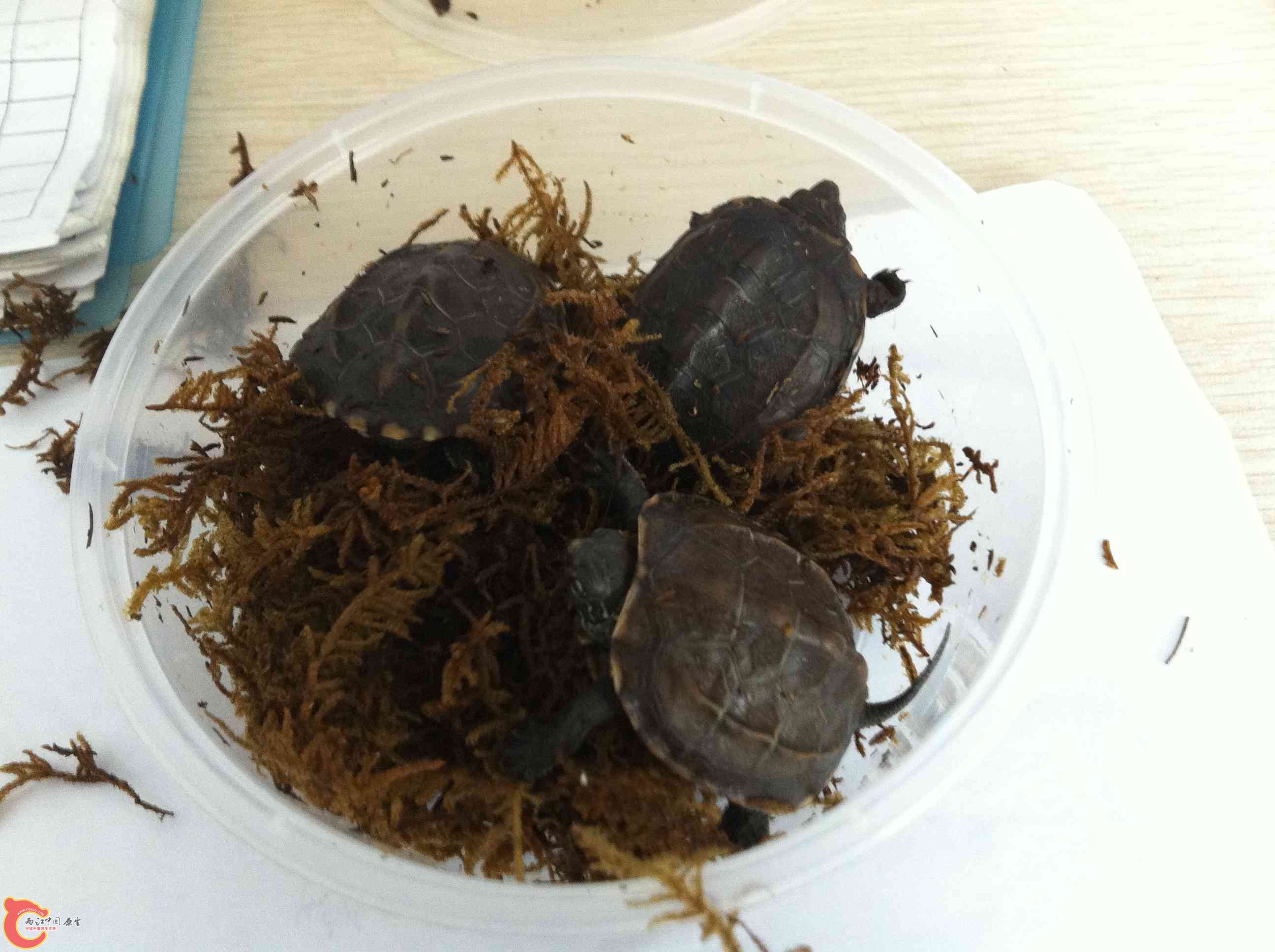 20130509 001.jpg
