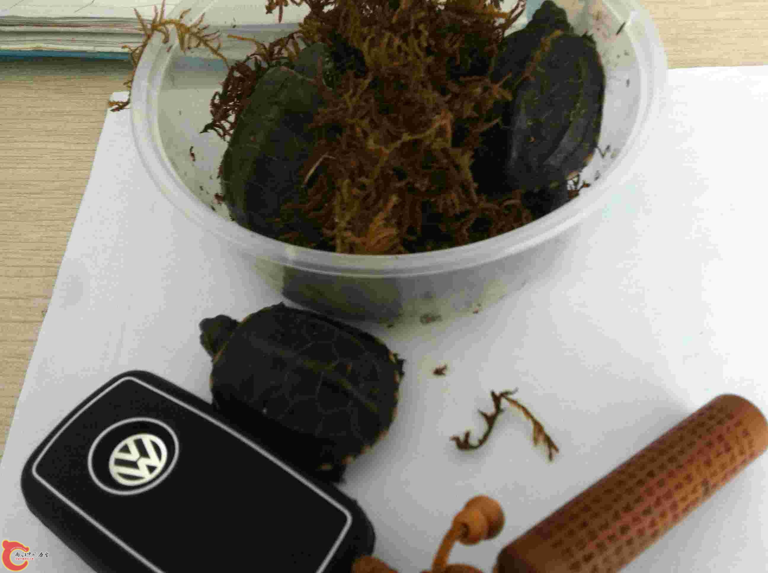 20130509 002.jpg