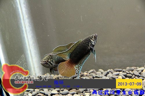 照片 090.jpg