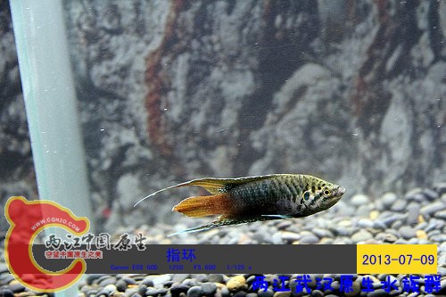 照片 024.jpg
