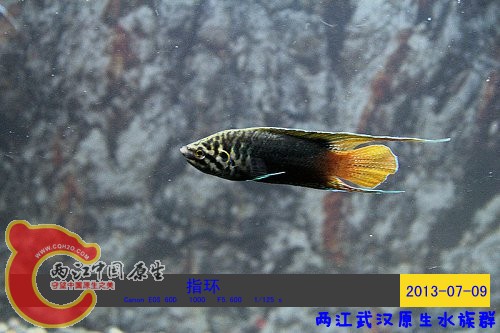 照片 025.jpg