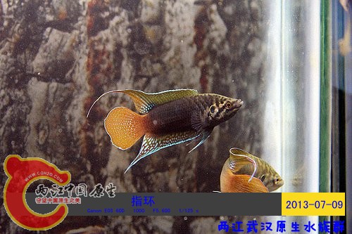 照片 027.jpg