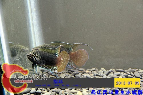 照片 069.jpg