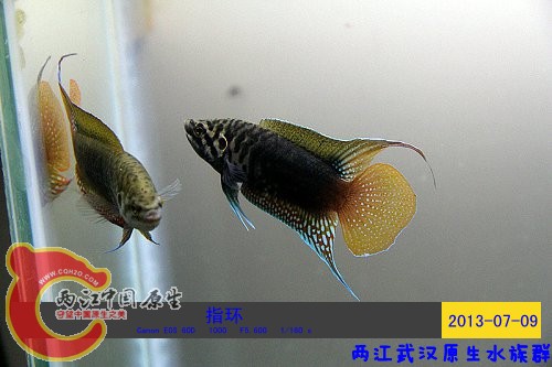 照片 072.jpg