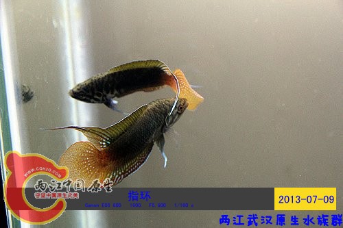 照片 073.jpg