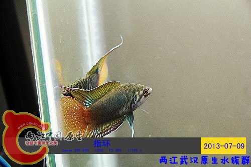 照片 075.jpg