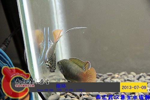 照片 078.jpg
