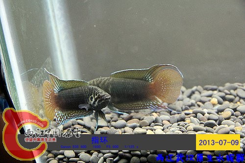 照片 081.jpg