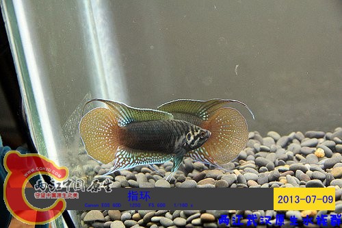 照片 083.jpg