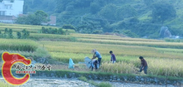 QQ图片20130711193001.jpg