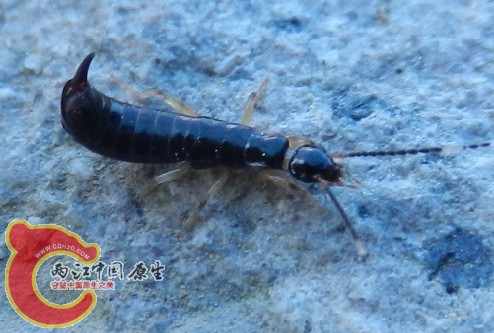 QQ图片20130711190423.jpg