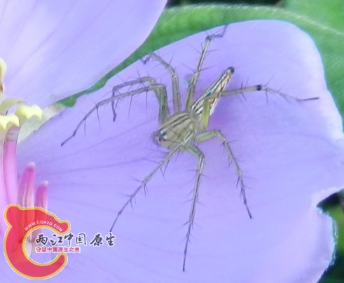 QQ图片20130711190905.jpg