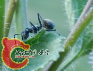 QQ图片20130711190909.jpg