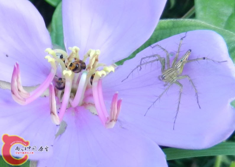 QQ图片20130711190954.jpg
