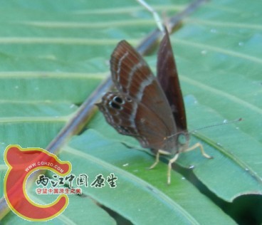 QQ图片20130711191056.jpg