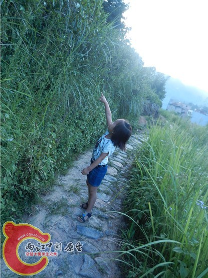 QQ图片20130711191310.jpg